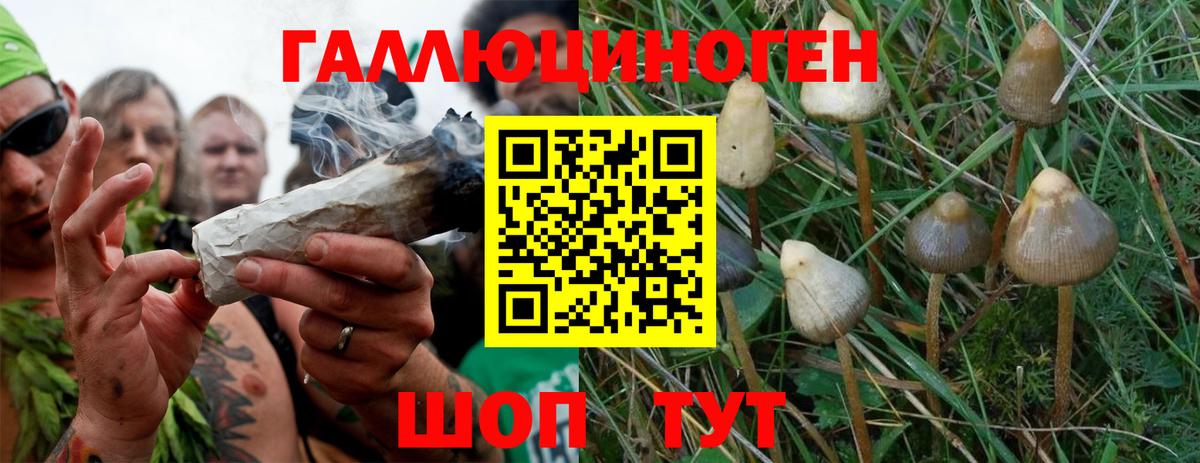 Псилоцибиновые грибы Psilocybine cubensis  цены наркотик  Моздок  Вход с VPN 